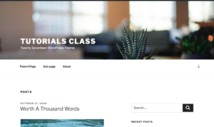 WordPress Frontend & Backend - Learn with example | Tutorials Class